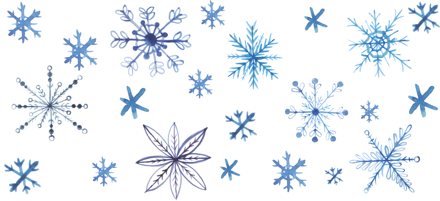 Snowflakes 1